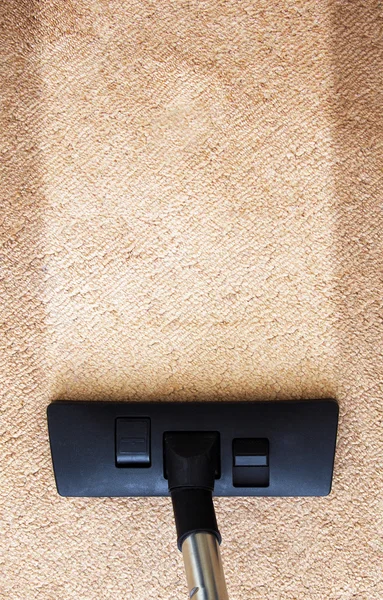 TYR Carpets - Carpet Cleaning Whitestone NY