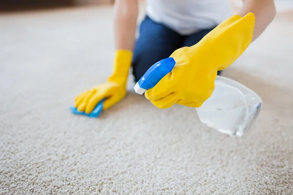 Pet Stain Removal Whitestone NY