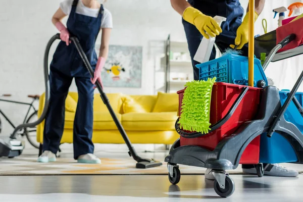 Upholstery Cleaning Whitestone NY